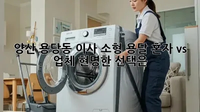 양산 용당동 이사 소형 용달: 혼자 vs 업체, 현명한 선택은?