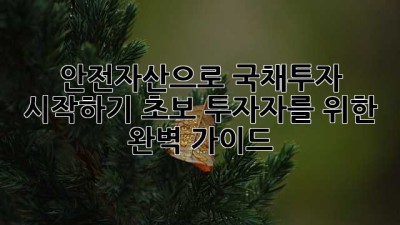 안전자산으로 국채투자 시작하기: 초보 투자자를 위한 완벽 가이드